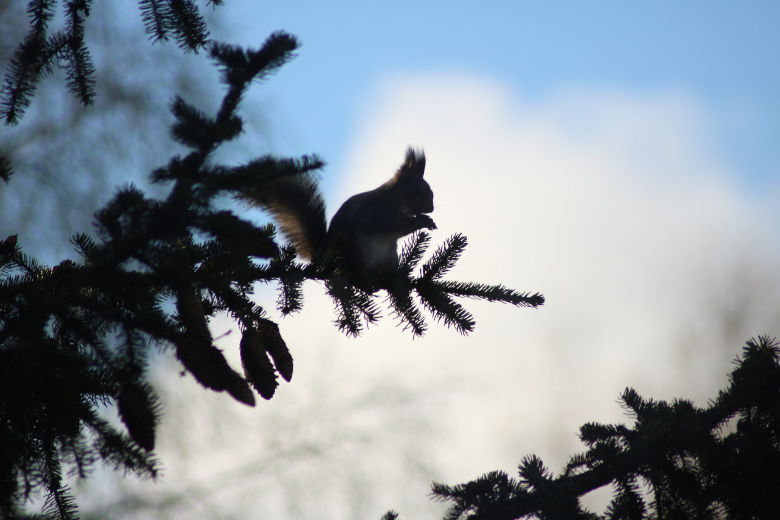 Valokuvaaja: Kauko Kvist