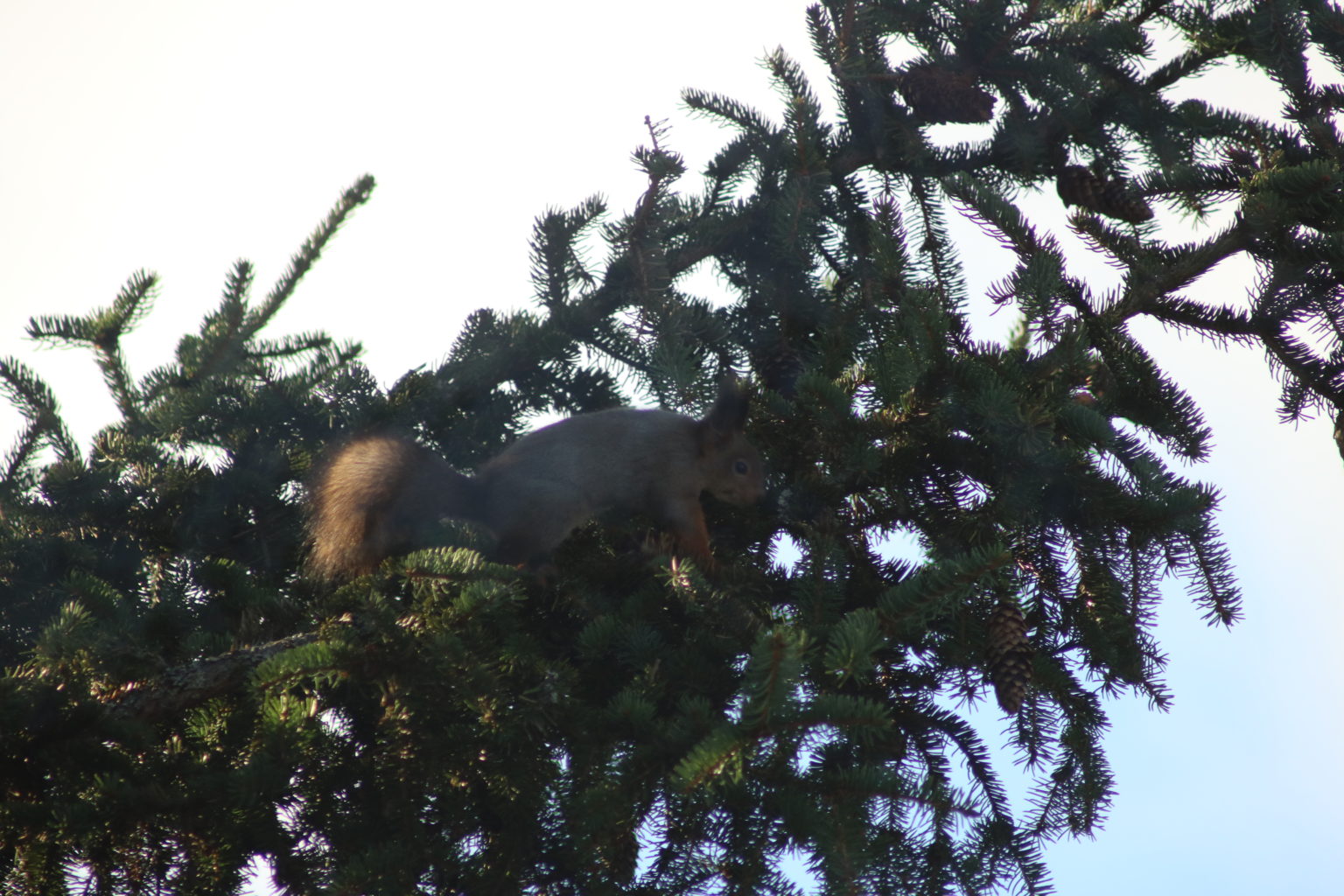 Valokuvaaja: Kauko Kvist