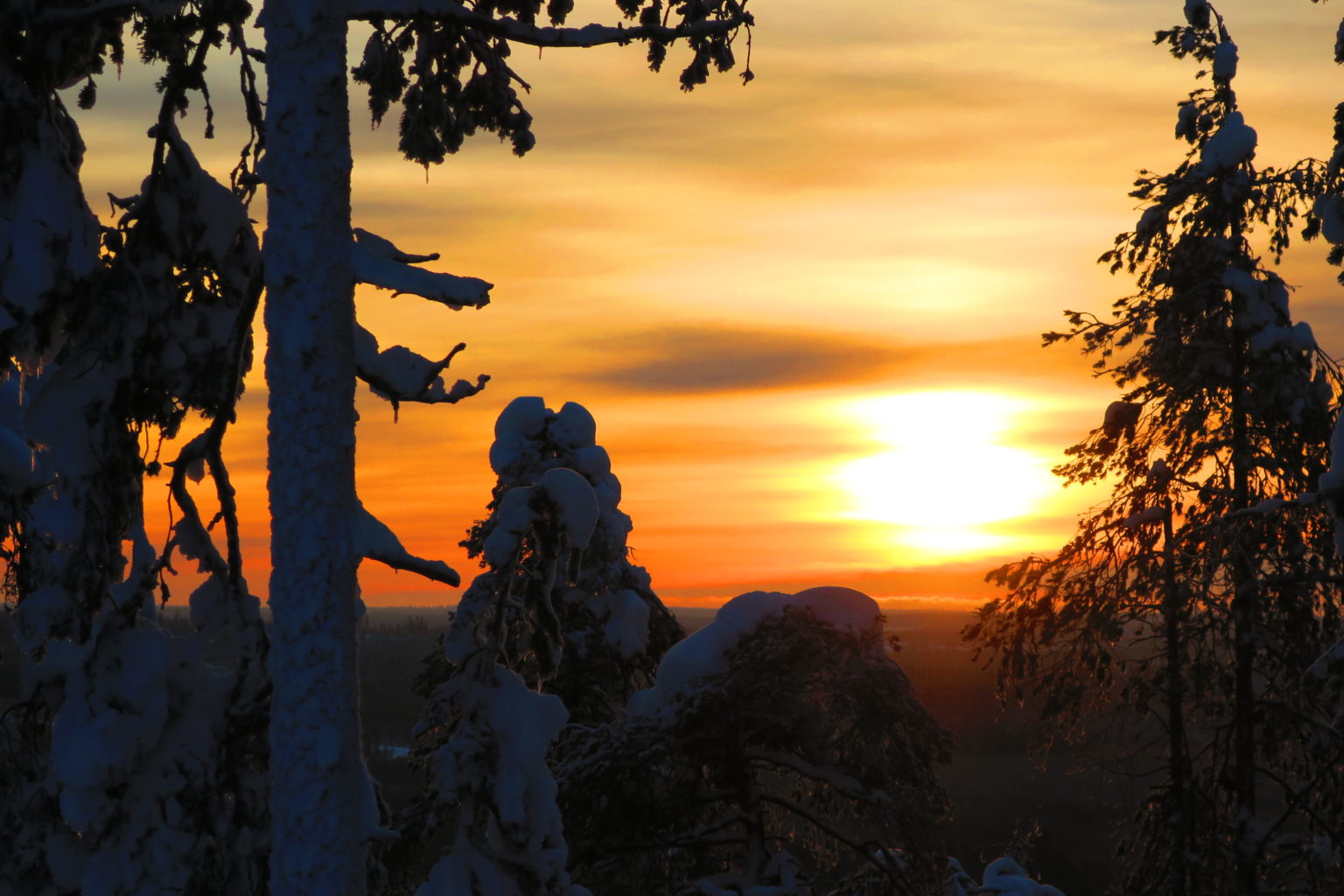 Valokuvaaja: Arto Alasuutari