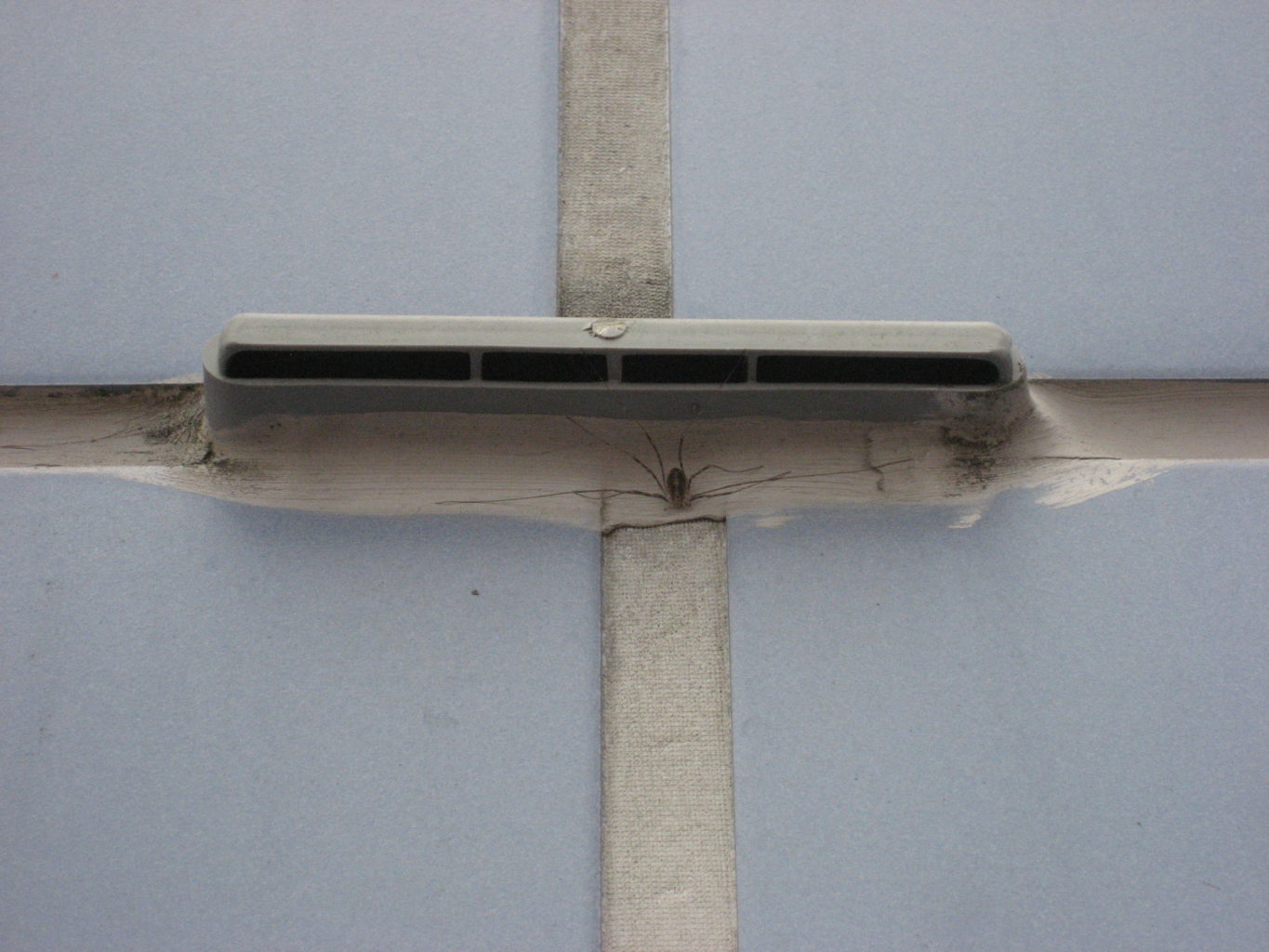 Valokuvaaja: Kauko Kvist