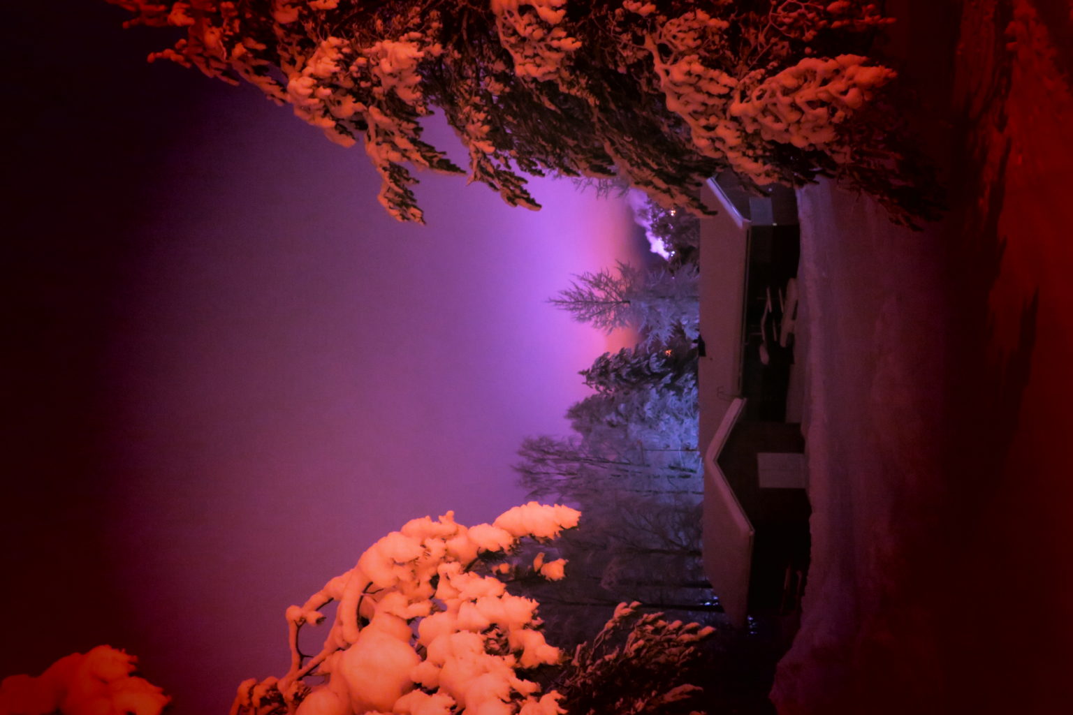 Valokuvaaja: Arto Alasuutari