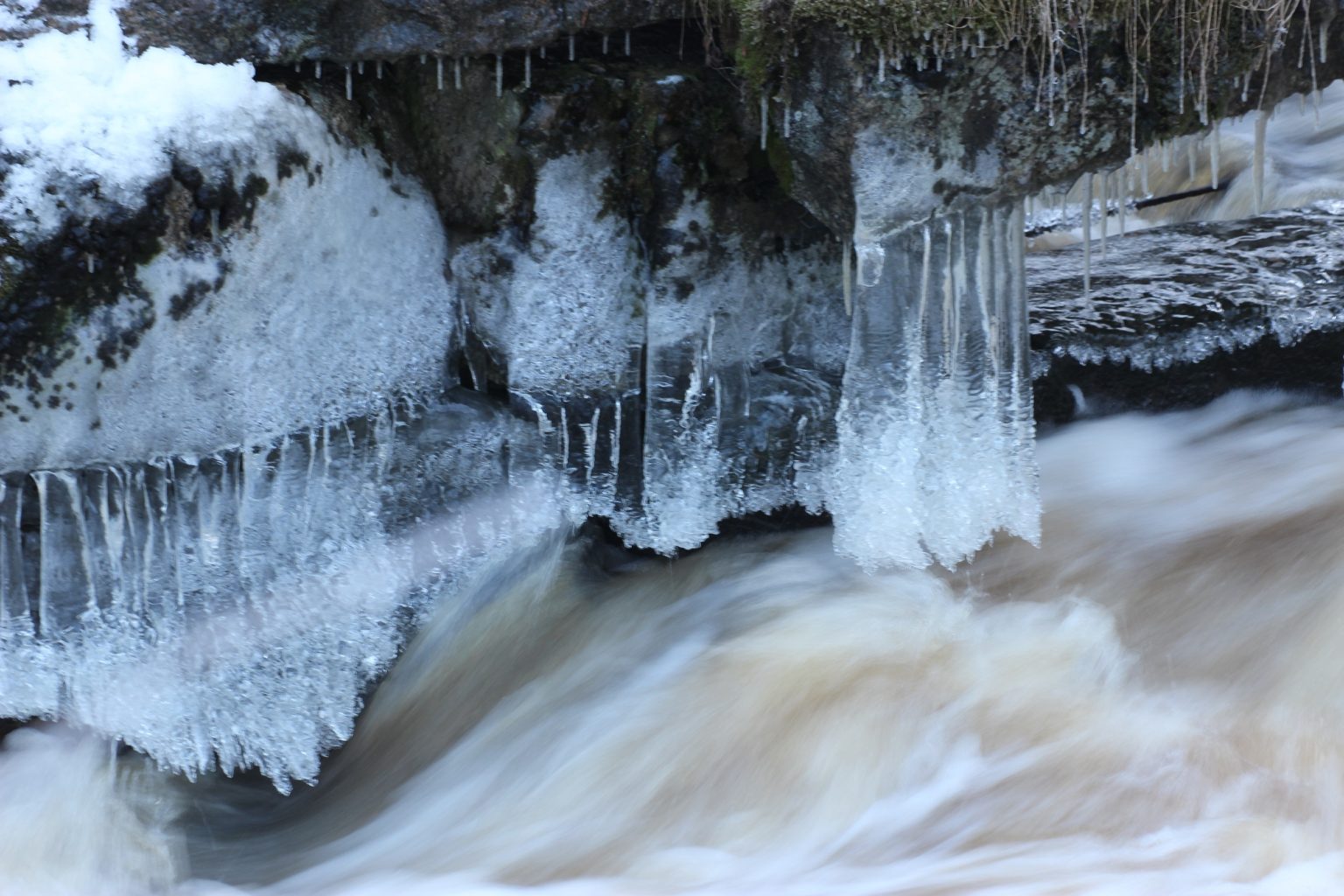 Valokuvaaja: Irja lehtinen