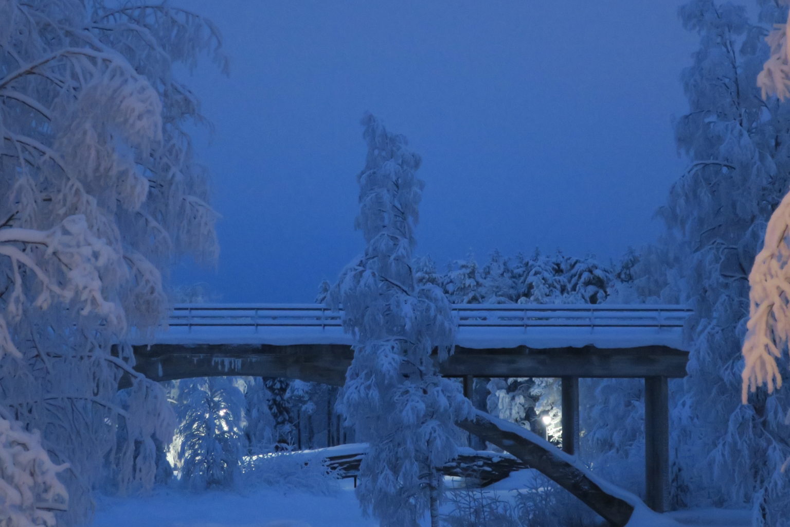 Valokuvaaja: Arto Alasuutari Valokuvaaja: Arto Alasuutari