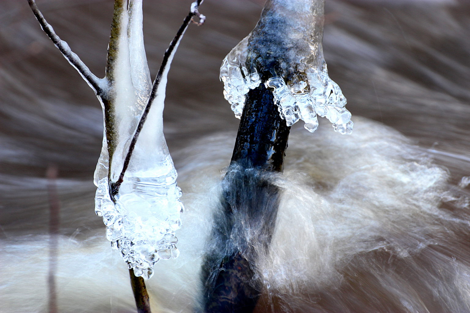 Valokuvaaja: Irja lehtinen