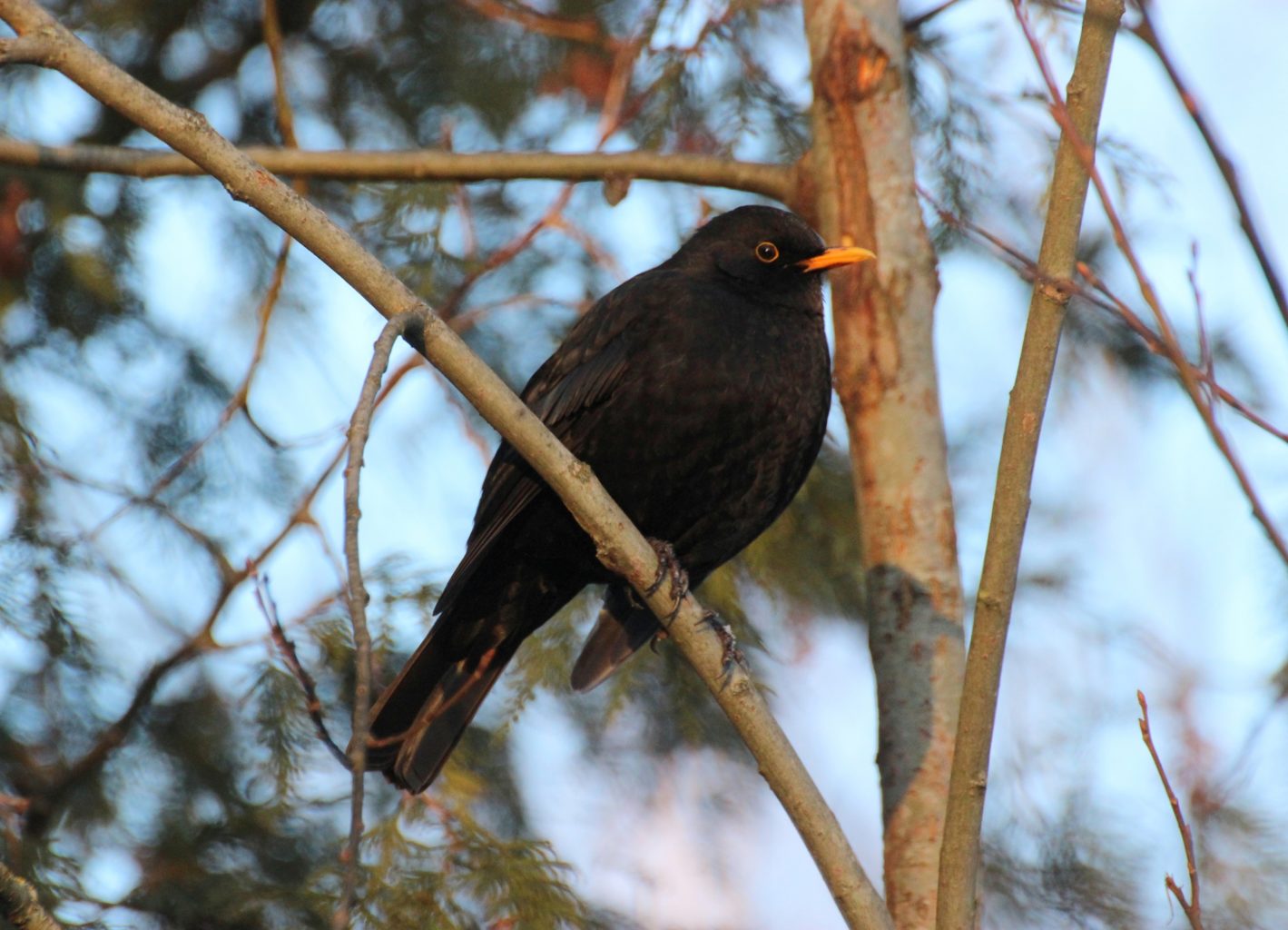 Valokuvaaja: Irja Lehtinen