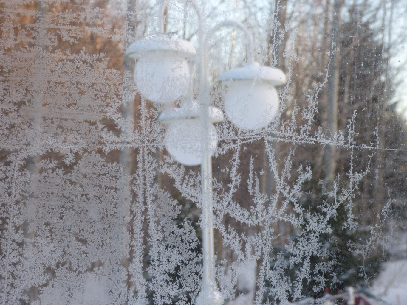 Valokuvaaja: Hannu Rissanen