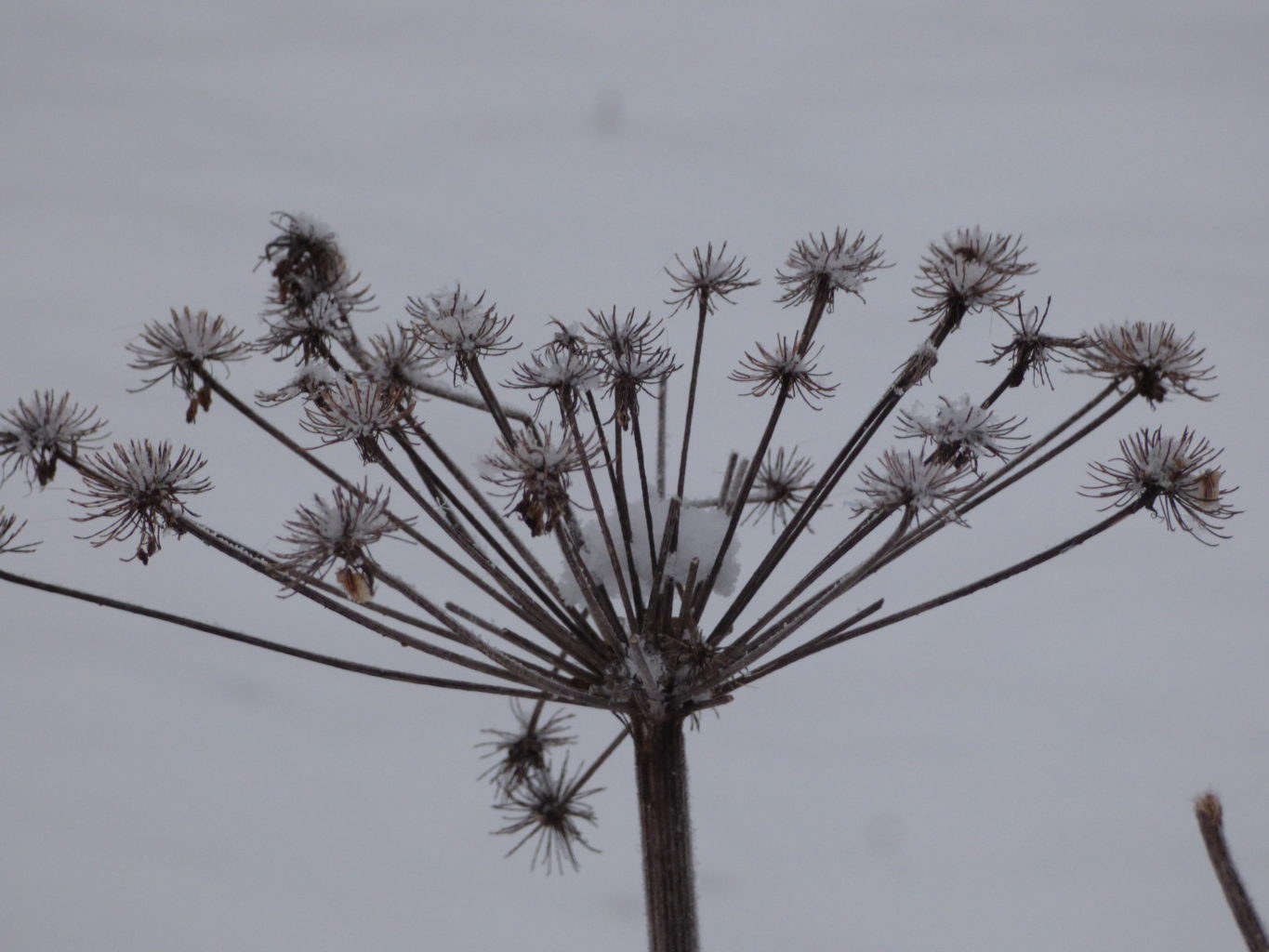 Valokuvaaja: Hannu Rissanen