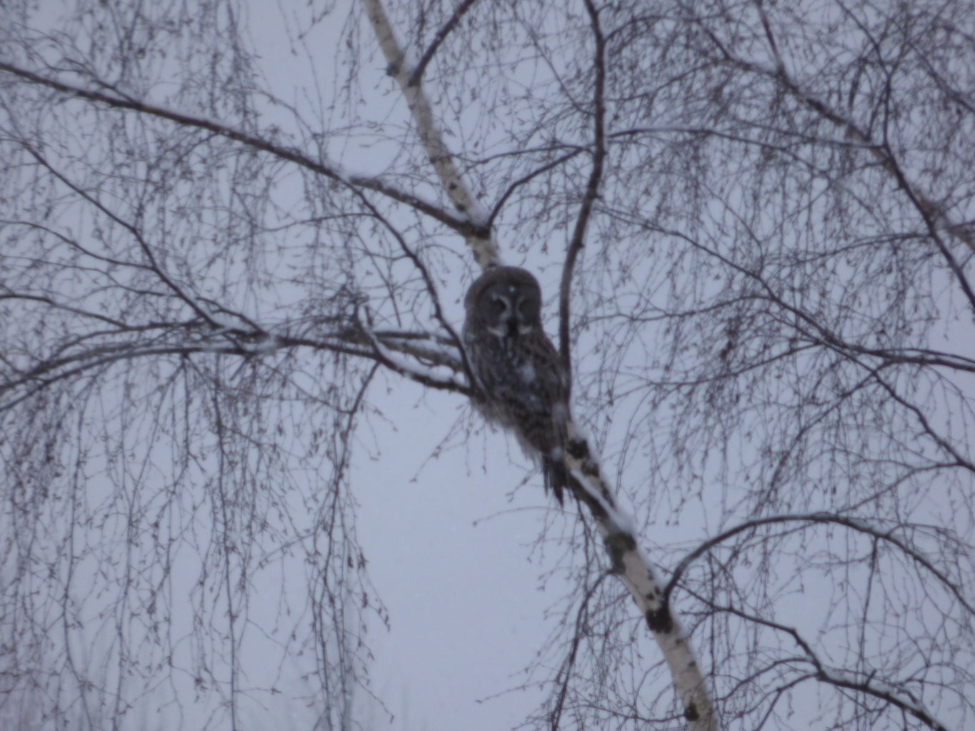 Valokuvaaja: Hannu Rissanen