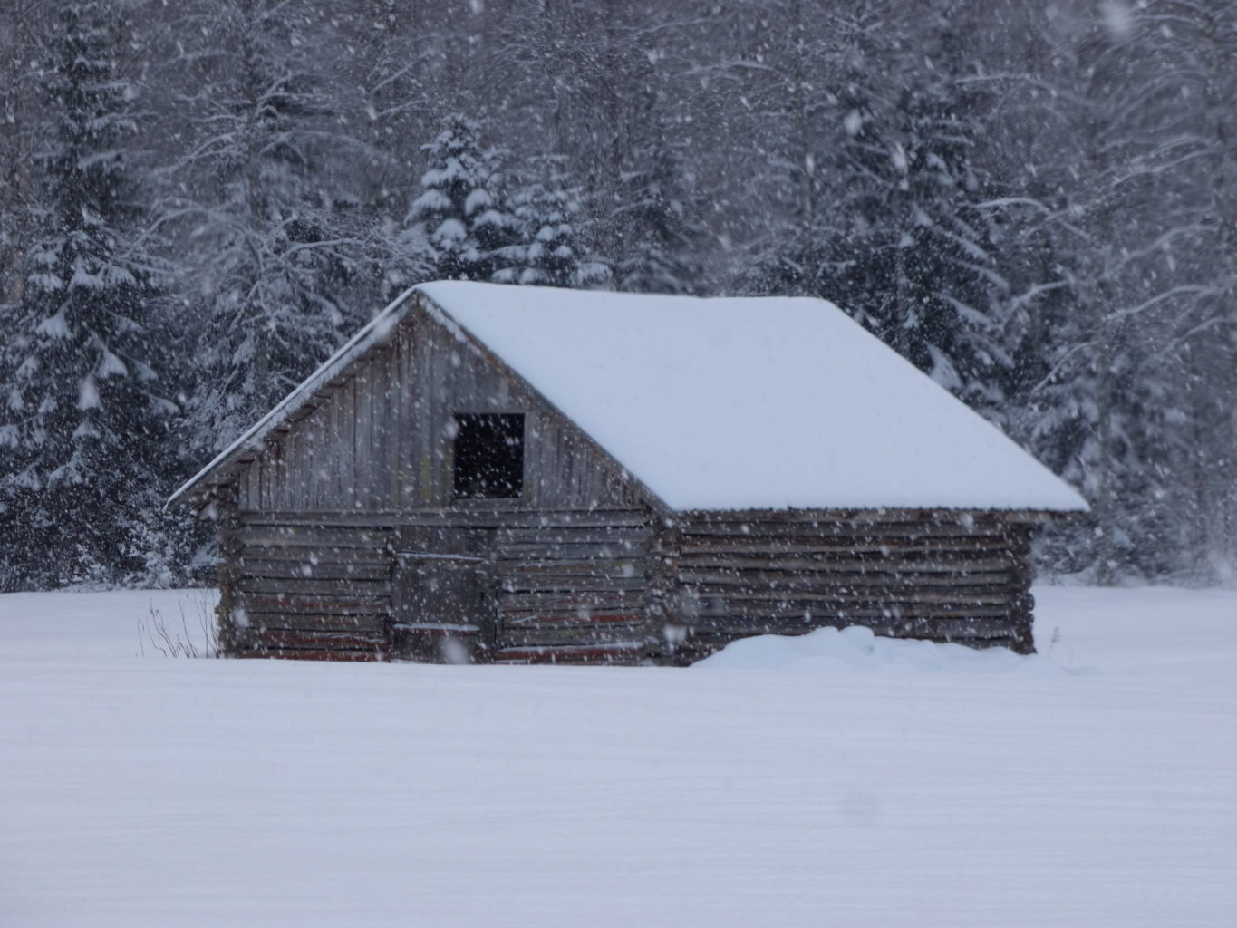 Valokuvaaja: Hannu Rissanen