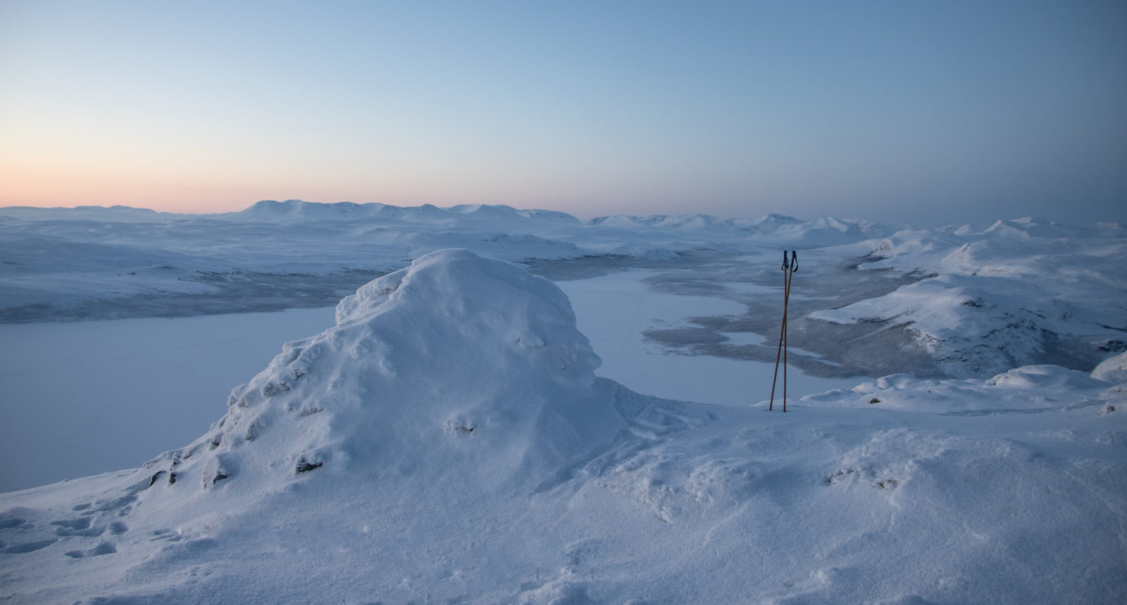 Valokuvaaja: Katri Niskanen