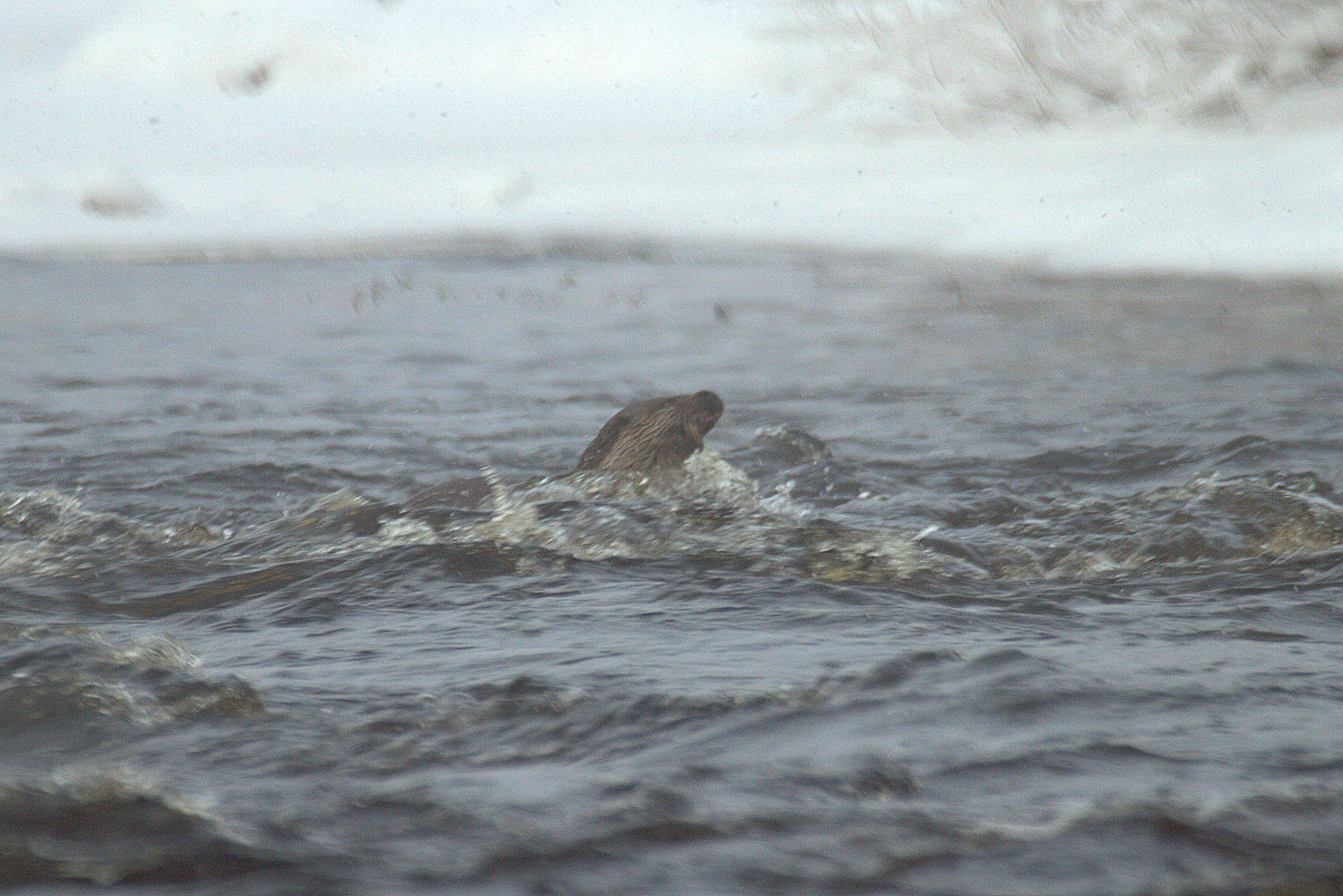 Valokuvaaja: Sirpa Jyske