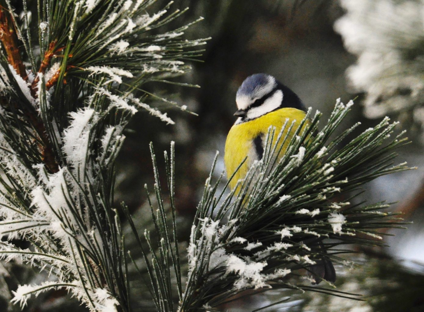 Valokuvaaja: Jenni Merilä