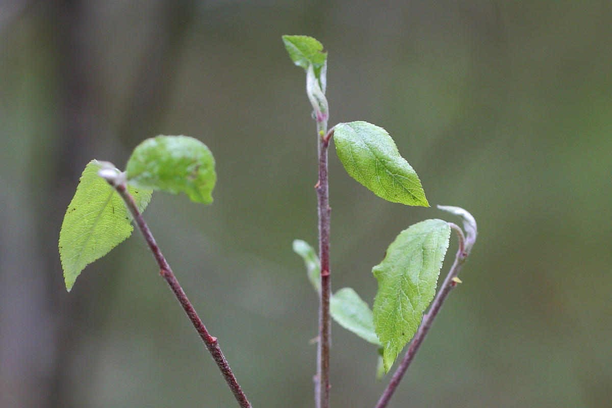 Valokuvaaja: Hanna Järvinen