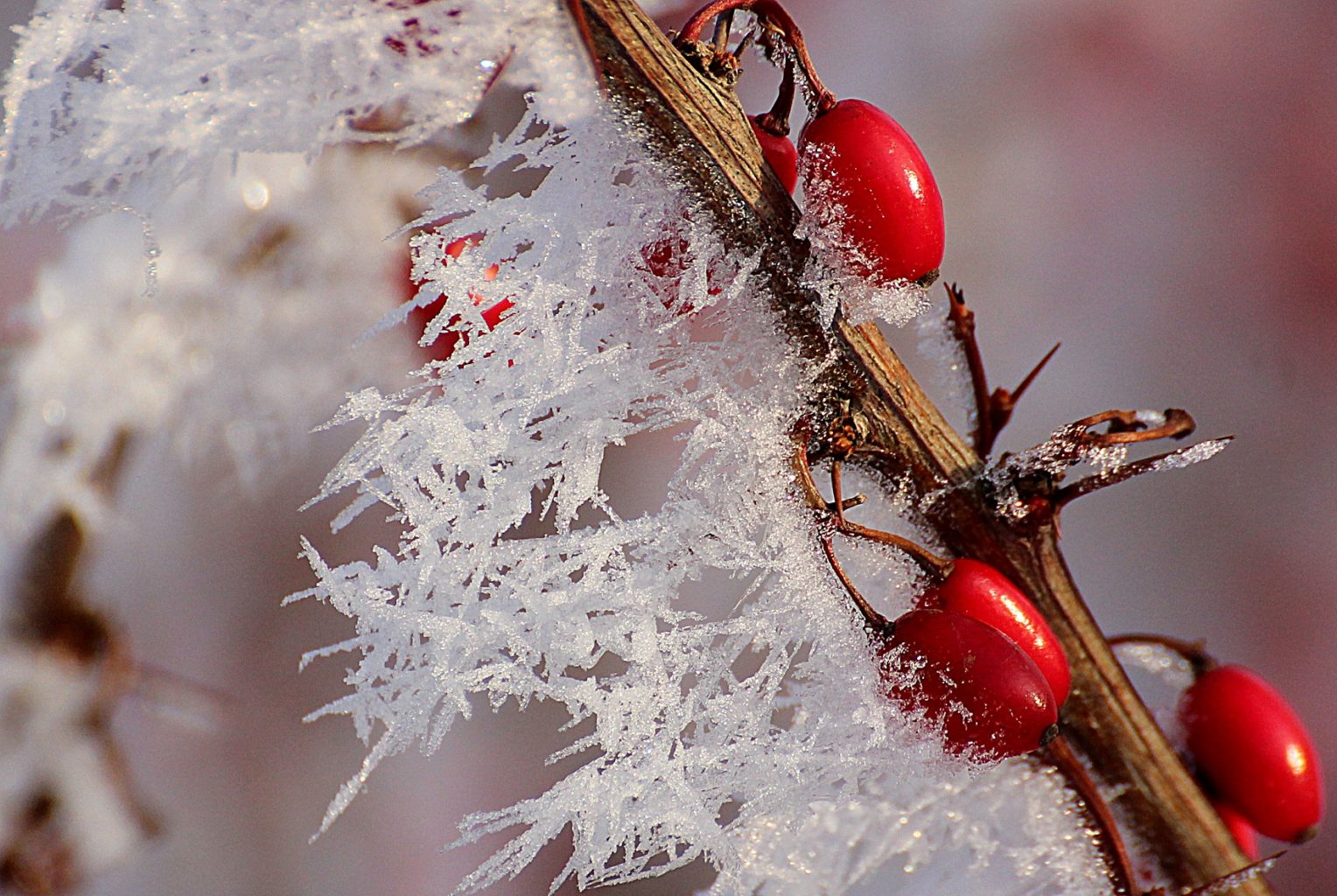 Valokuvaaja: Irja Lehtinen