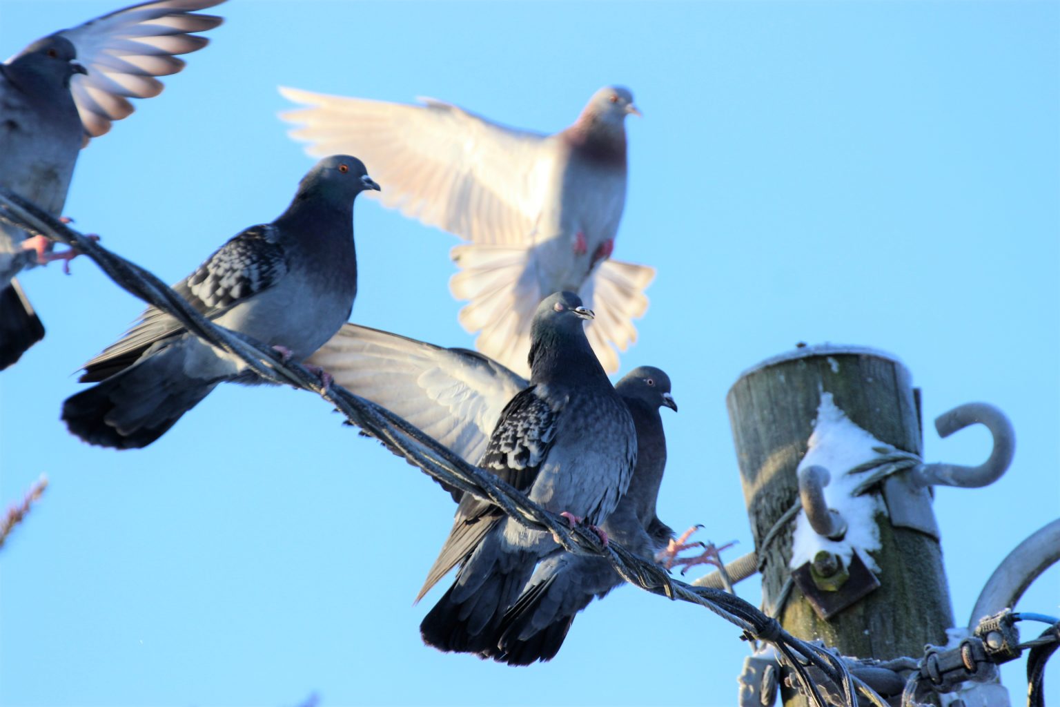 Valokuvaaja: Irja lehtinen