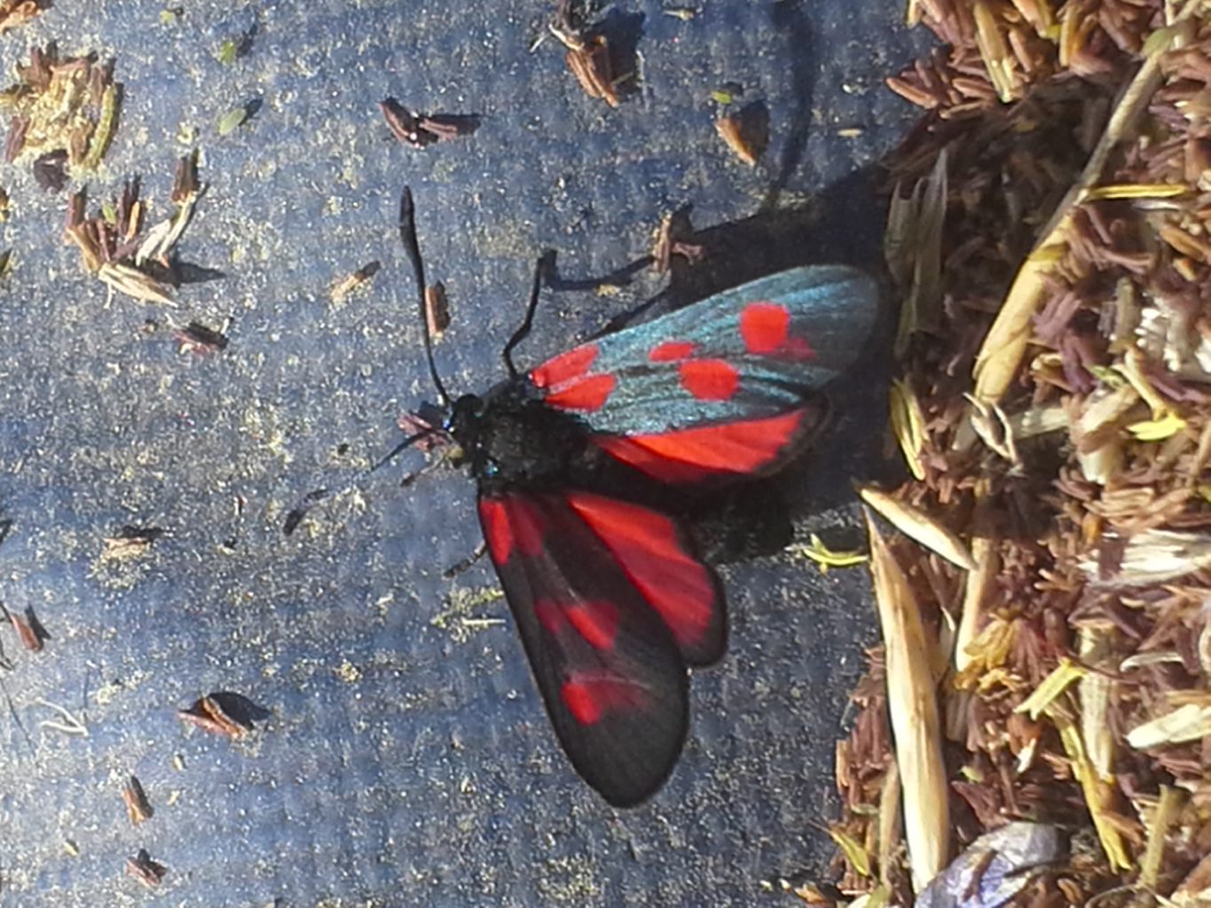 Valokuvaaja: Arto Espo