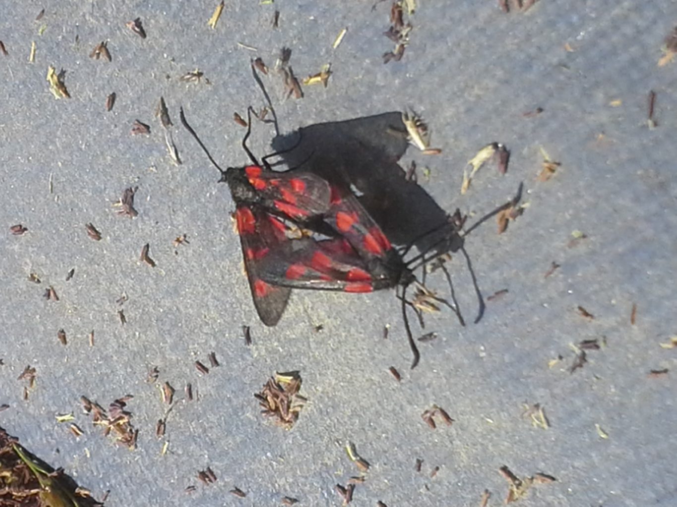 Valokuvaaja: Arto Espo