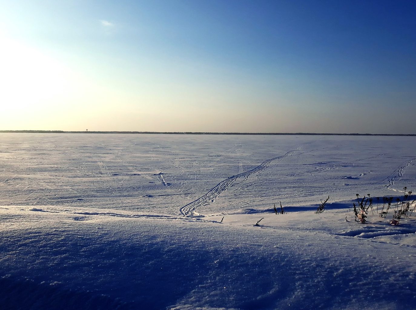 Valokuvaaja: Harri Mällinen