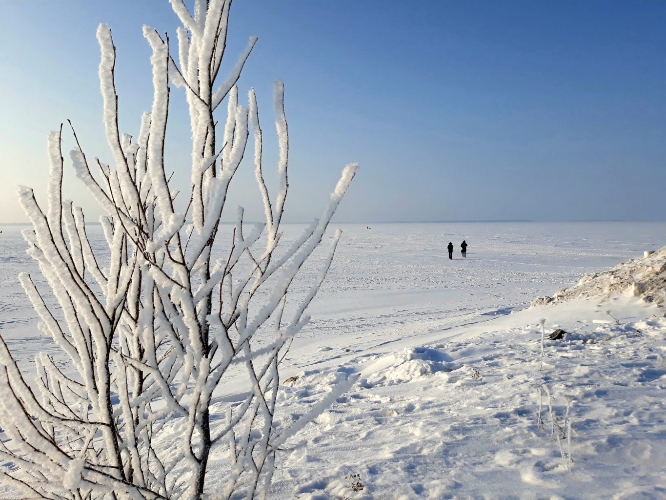 Valokuvaaja: Harri Mällinen