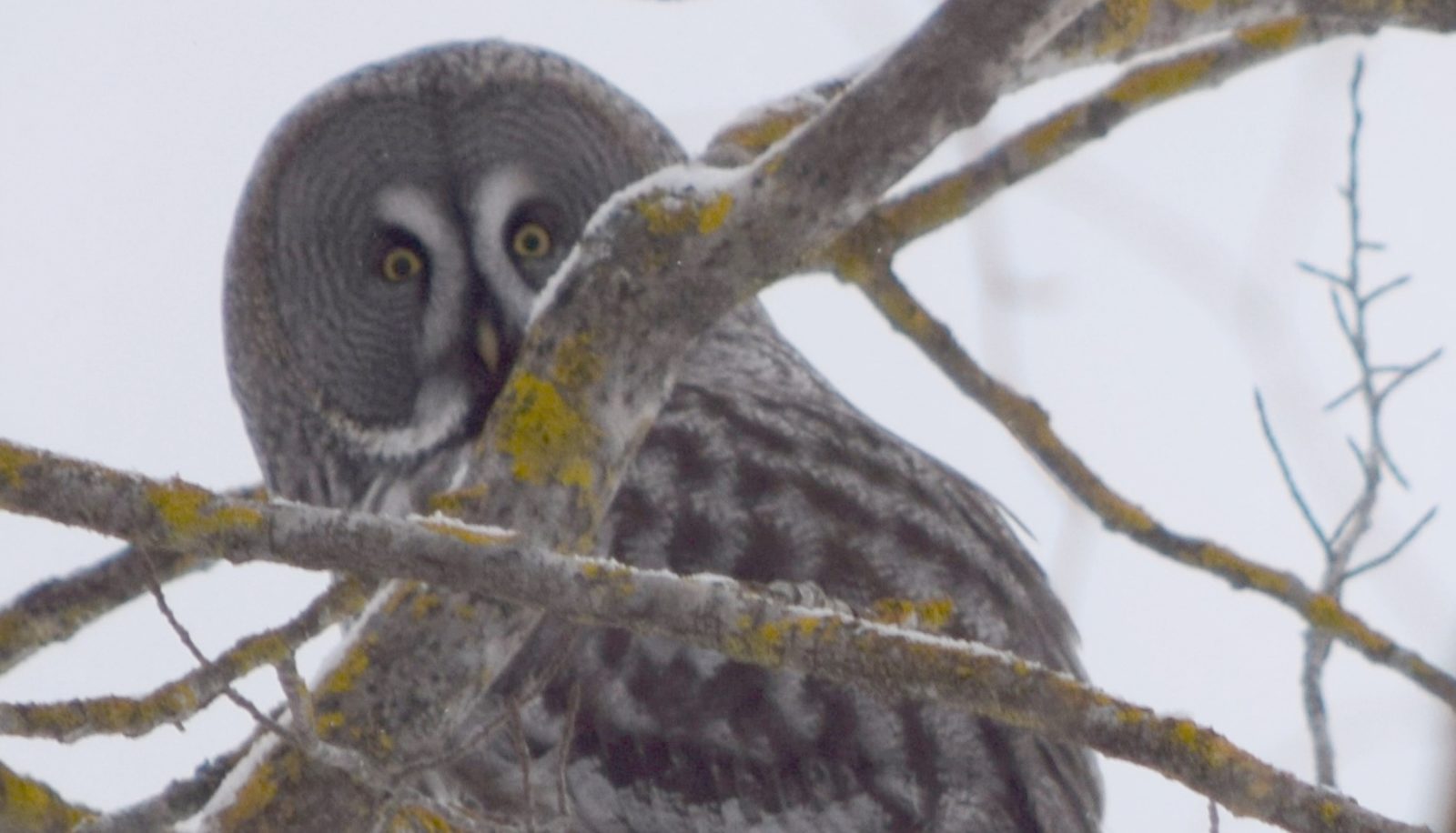 Valokuvaaja: Leena Rissanen