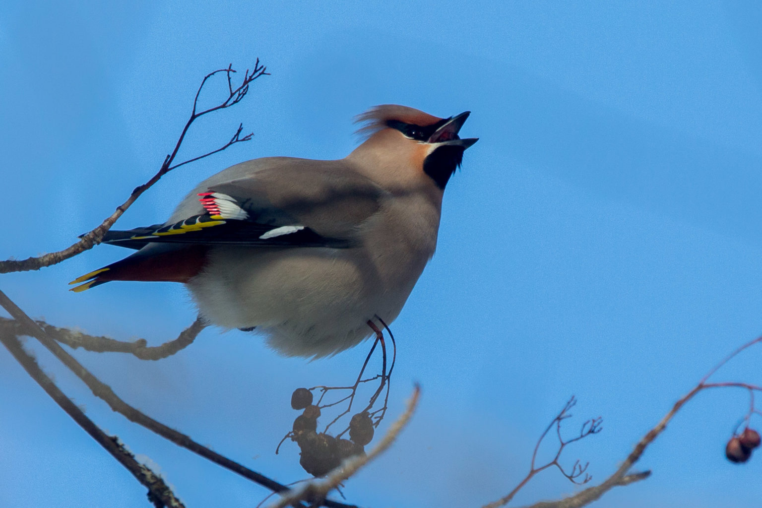 Valokuvaaja: Markku Salonen