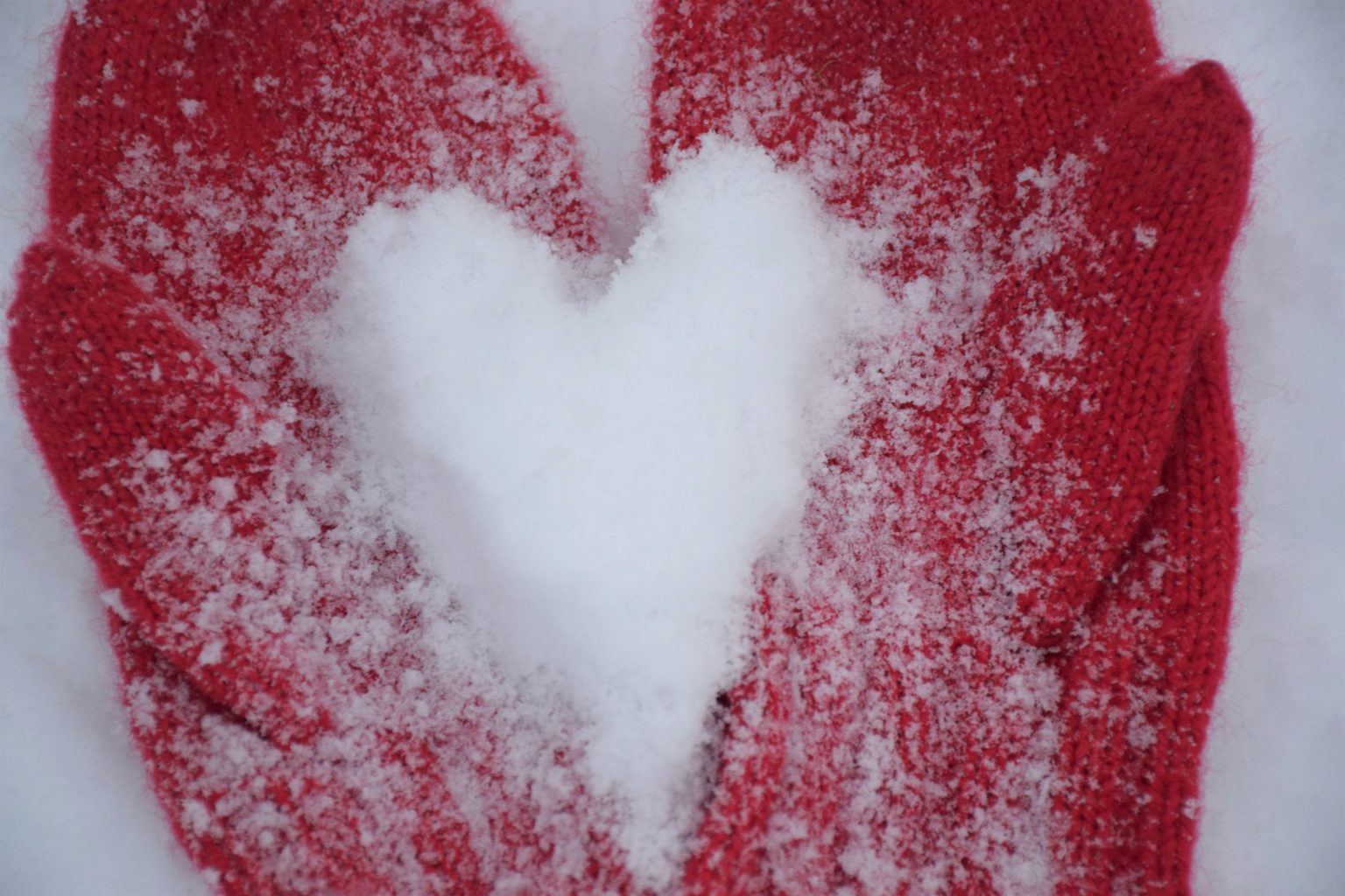 Valokuvaaja: Leena Rissanen