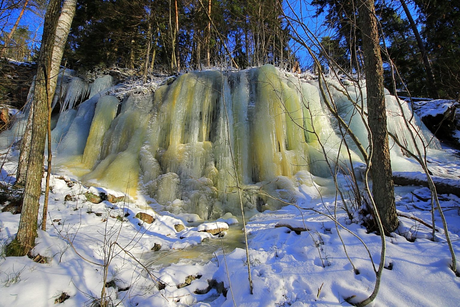 Valokuvaaja: Kari Aaltonen