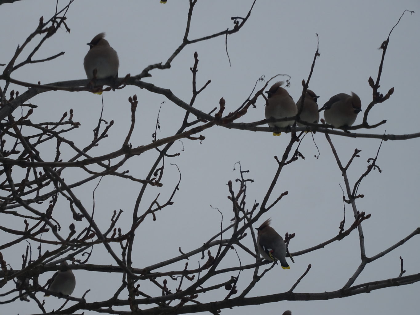 Valokuvaaja: Katja Ketola