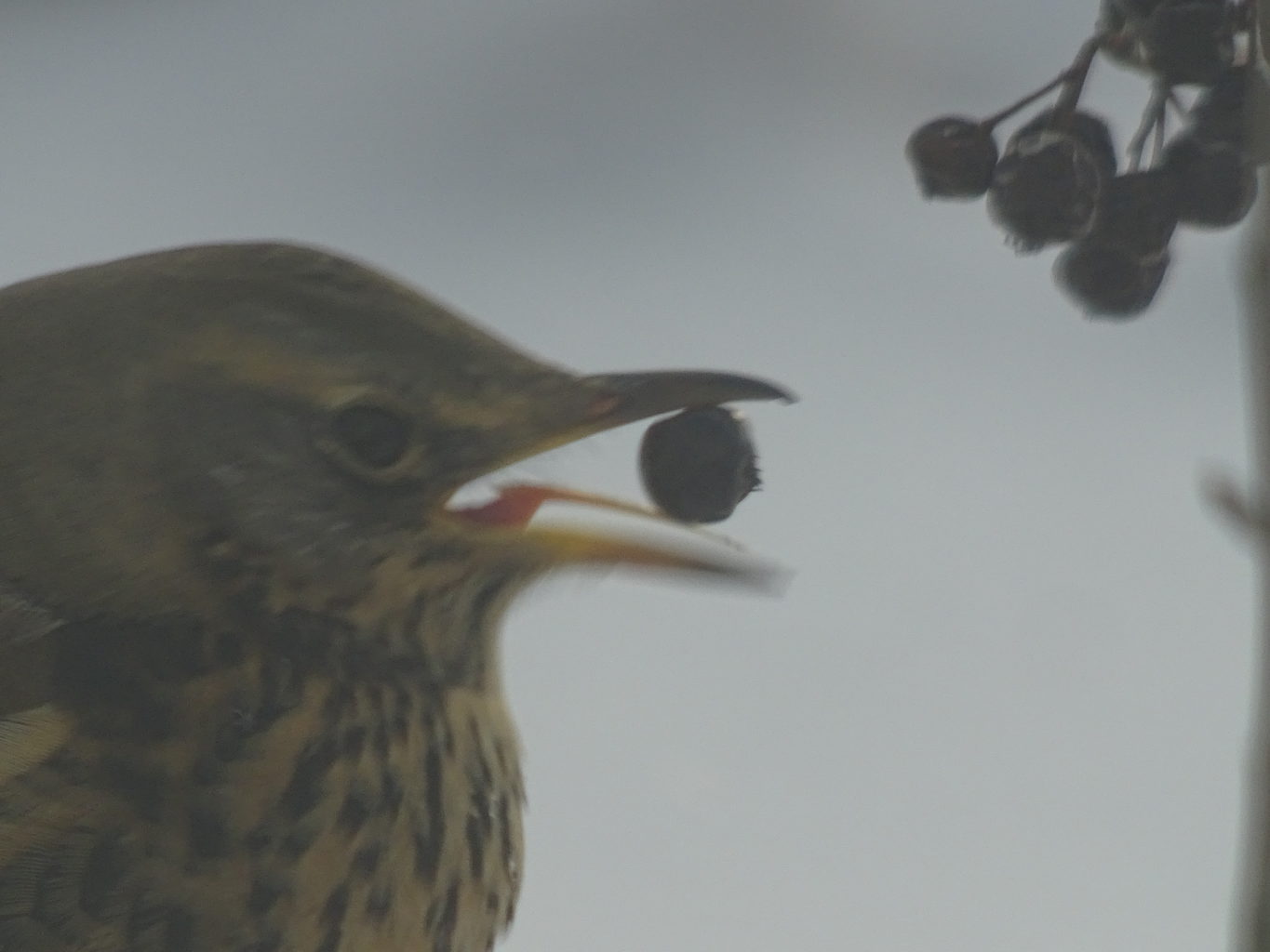 Valokuvaaja: Katja Ketola