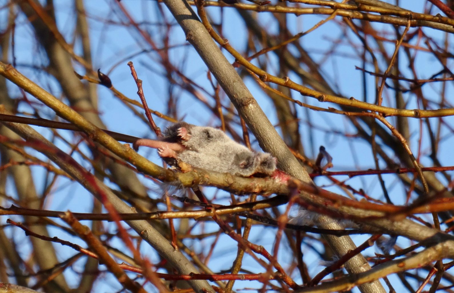 Valokuvaaja: Liisa Niiva-Korpela