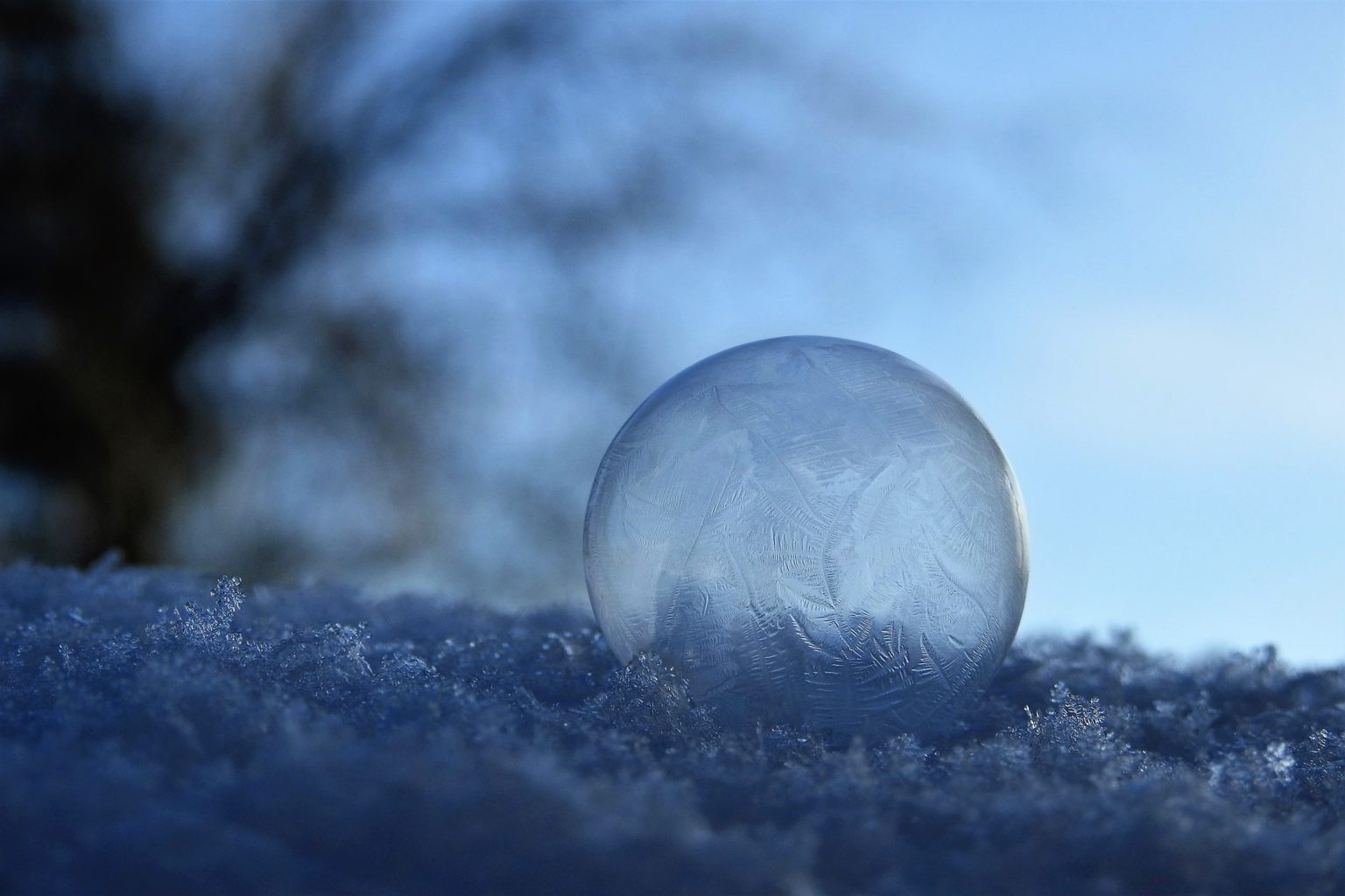 Valokuvaaja: Maarit Siitonen