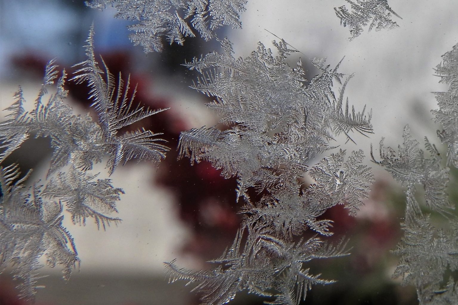 Valokuvaaja: Maarit Siitonen