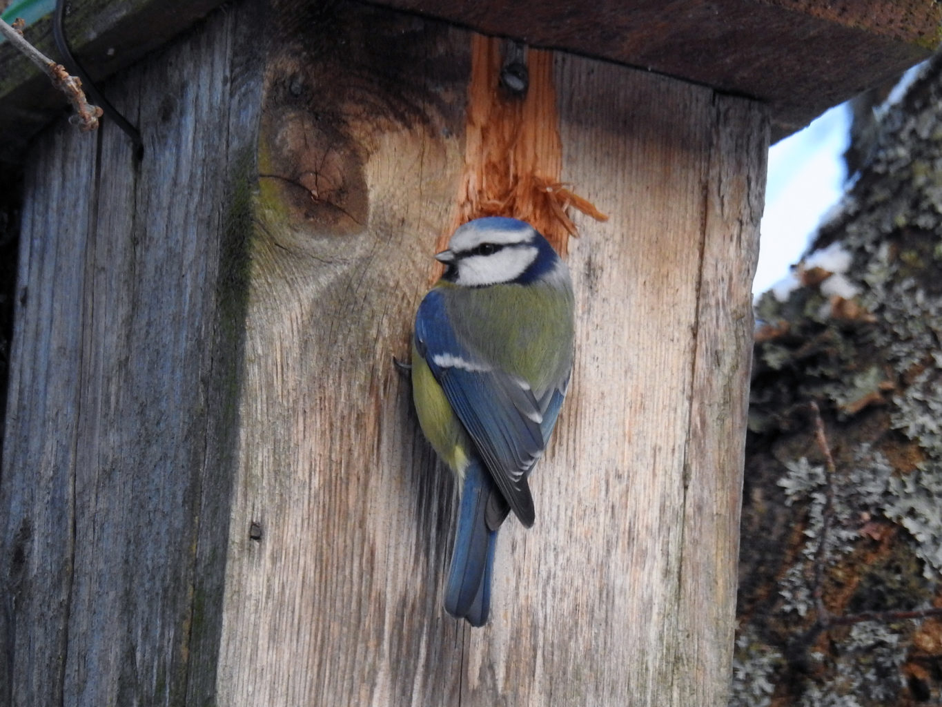 Valokuvaaja: Paavo Siukonen