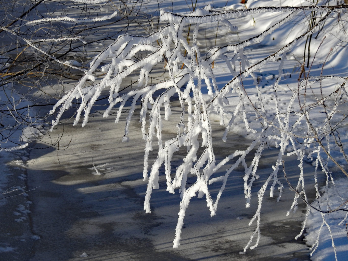 Valokuvaaja: Paavo Siukonen