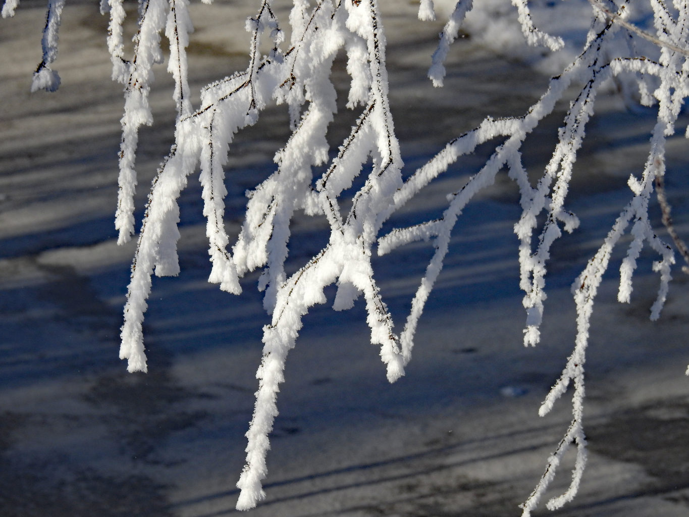 Valokuvaaja: Paavo Siukonen