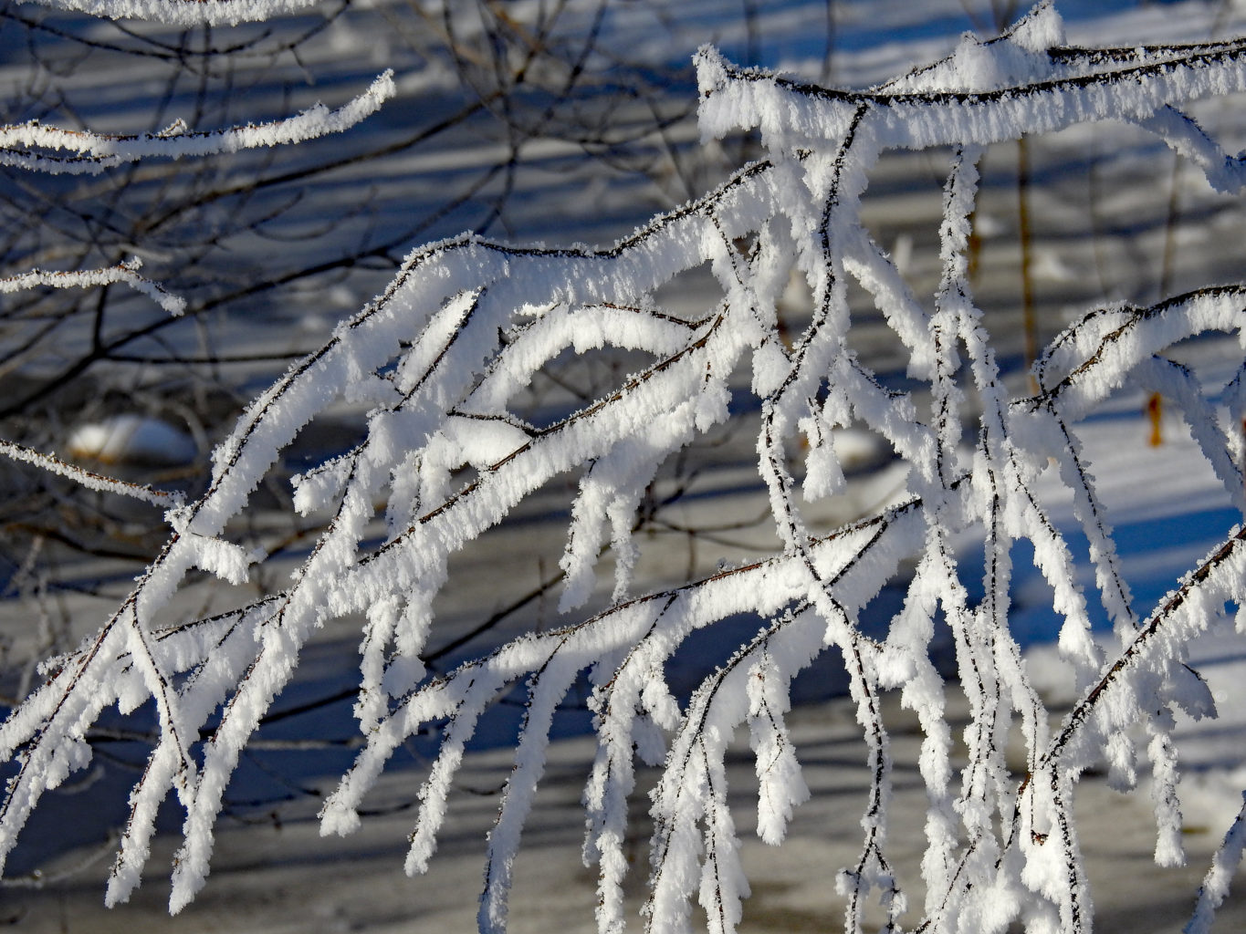 Valokuvaaja: Paavo Siukonen