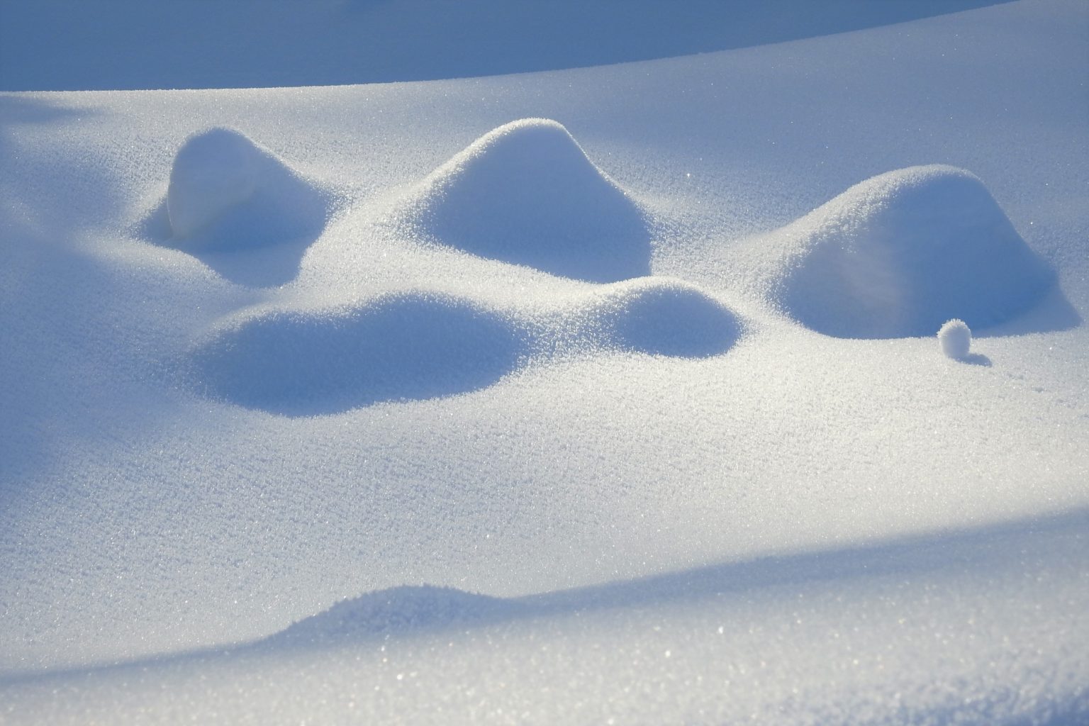 Valokuvaaja: Maarit Siitonen