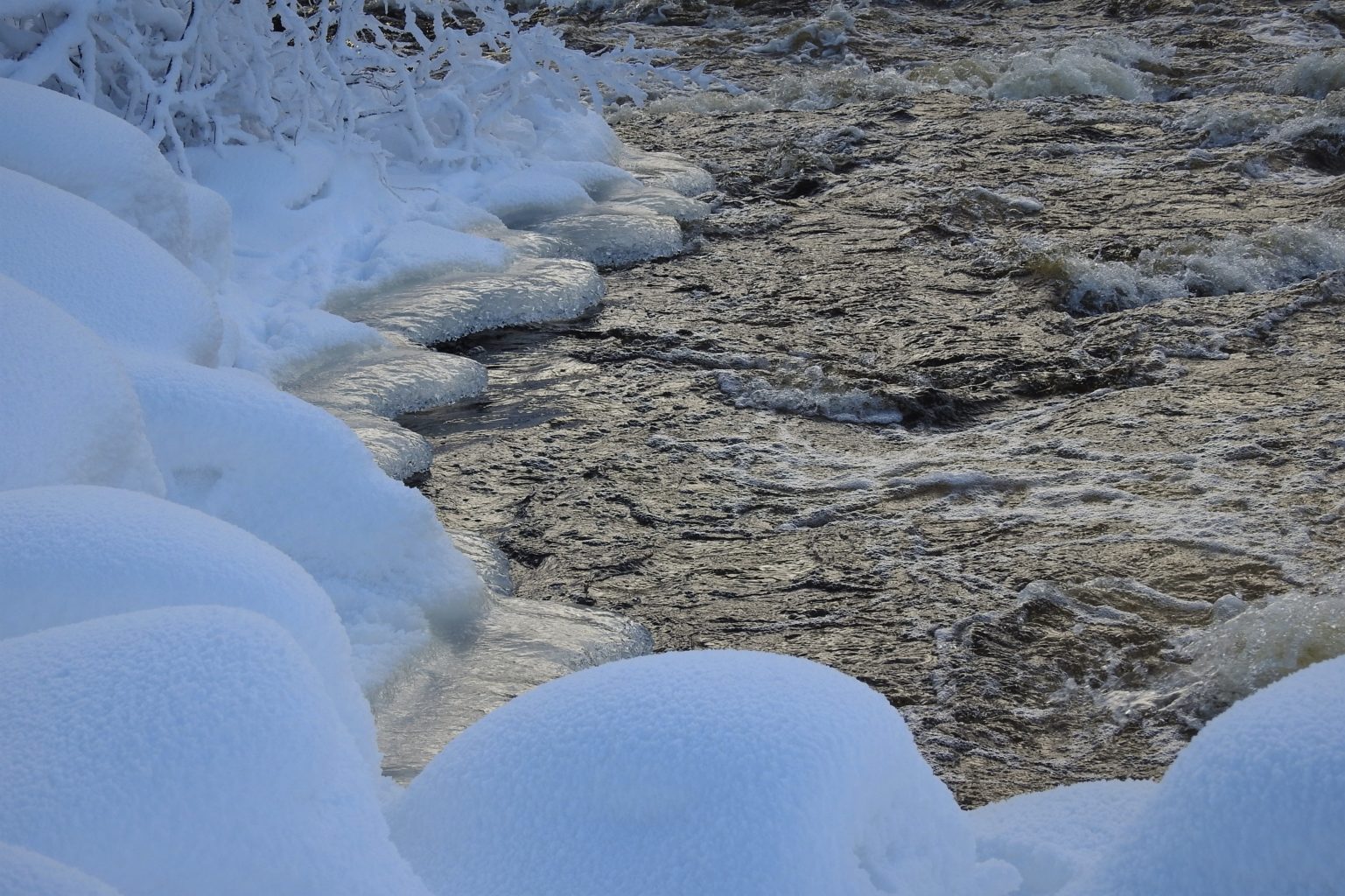 Valokuvaaja: Maarit Siitonen