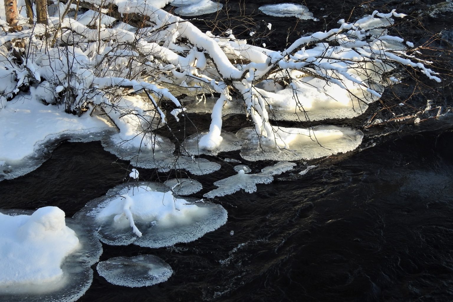 Valokuvaaja: Maarit Siitonen