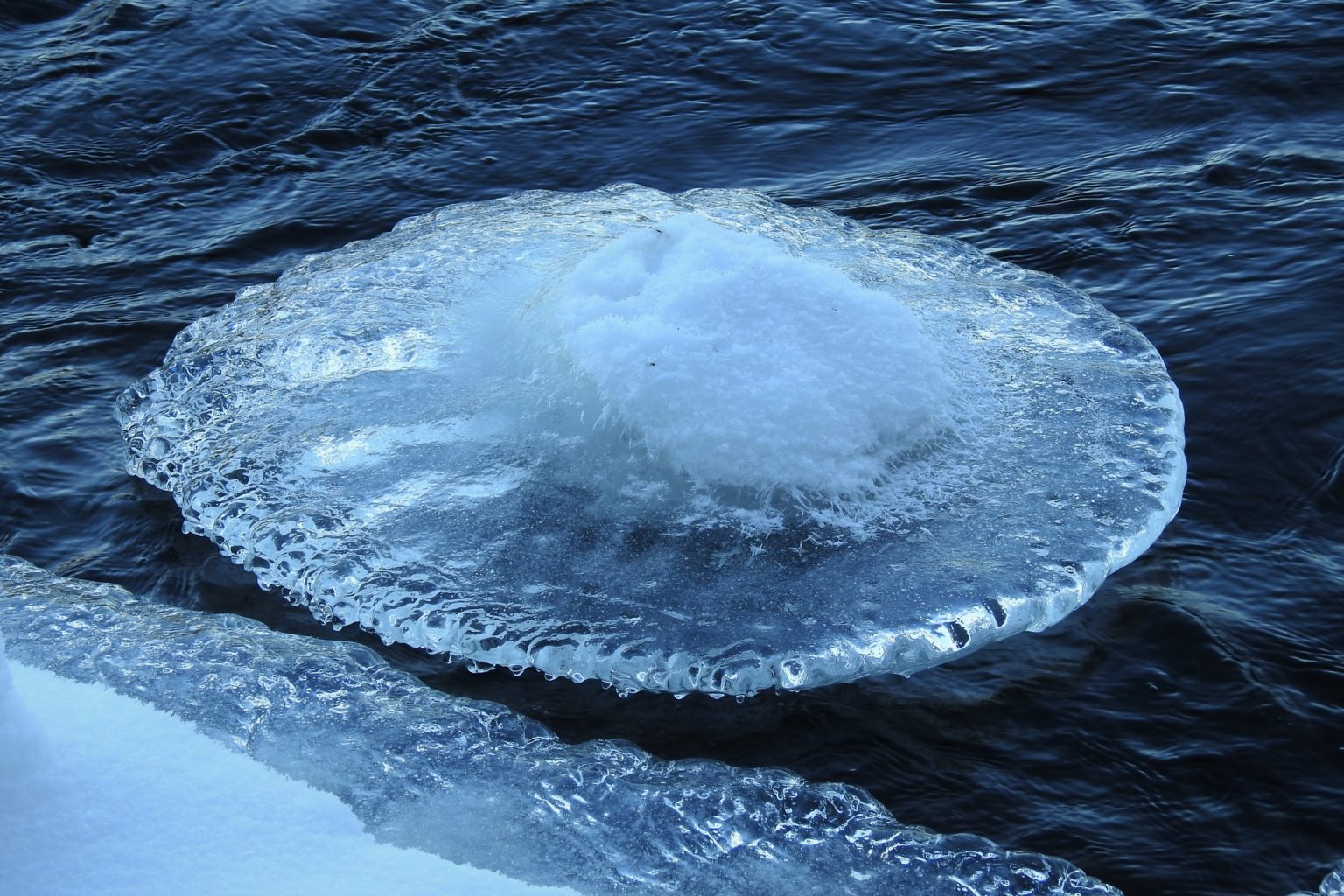 Valokuvaaja: Maarit Siitonen