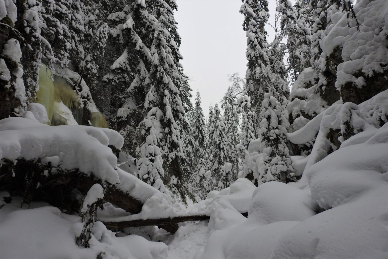 Valokuvaaja: Maarit Siitonen