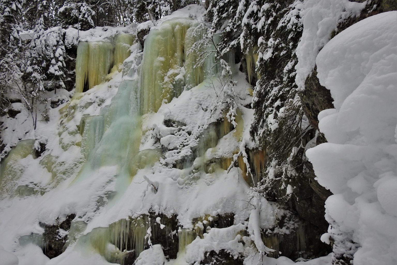 Valokuvaaja: Maarit Siitonen