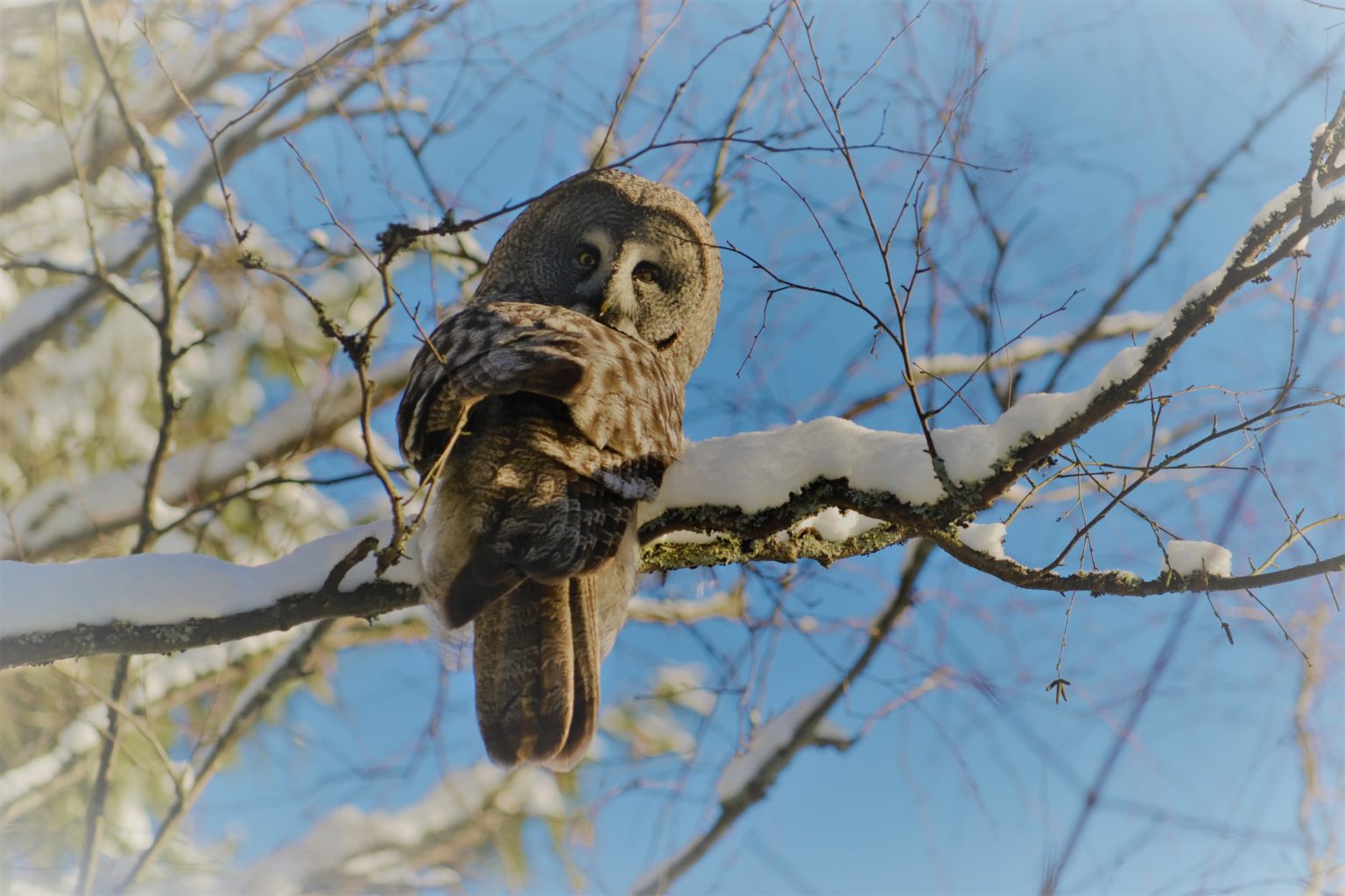 Valokuvaaja: satu välimaa