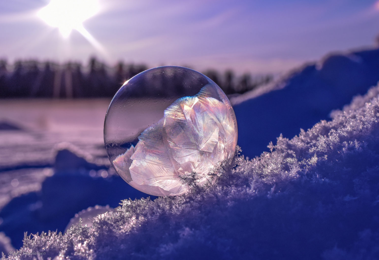 Valokuvaaja: Maija Savolainen