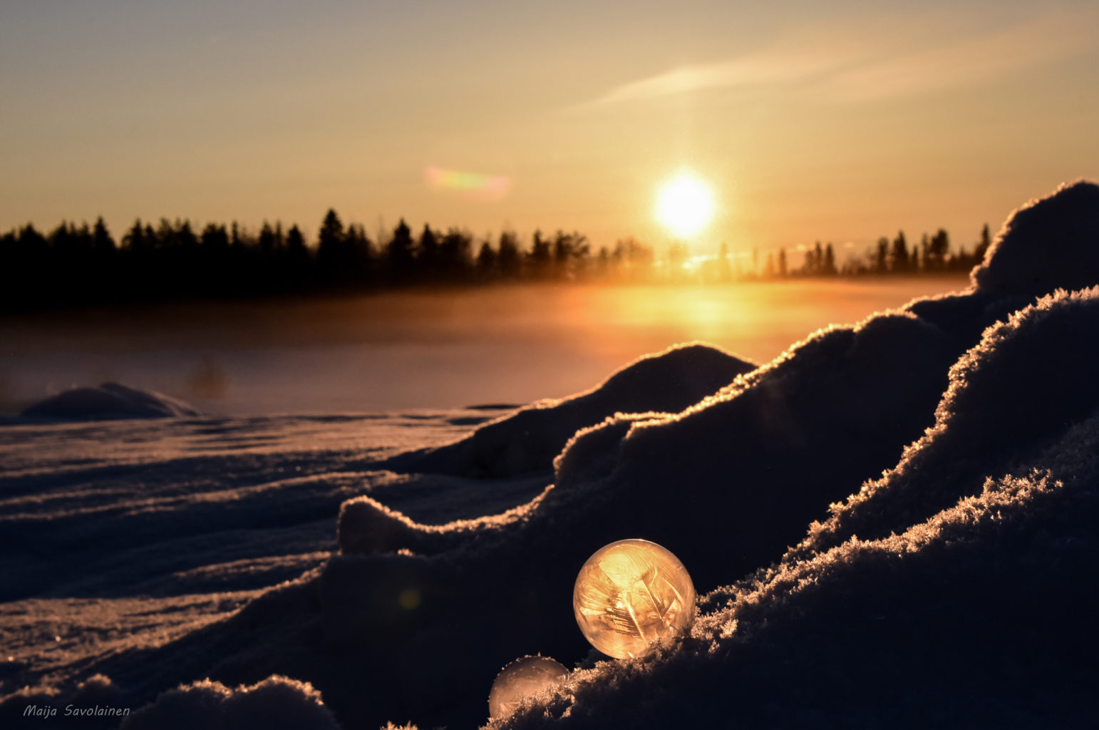 Valokuvaaja: Maija Savolainen