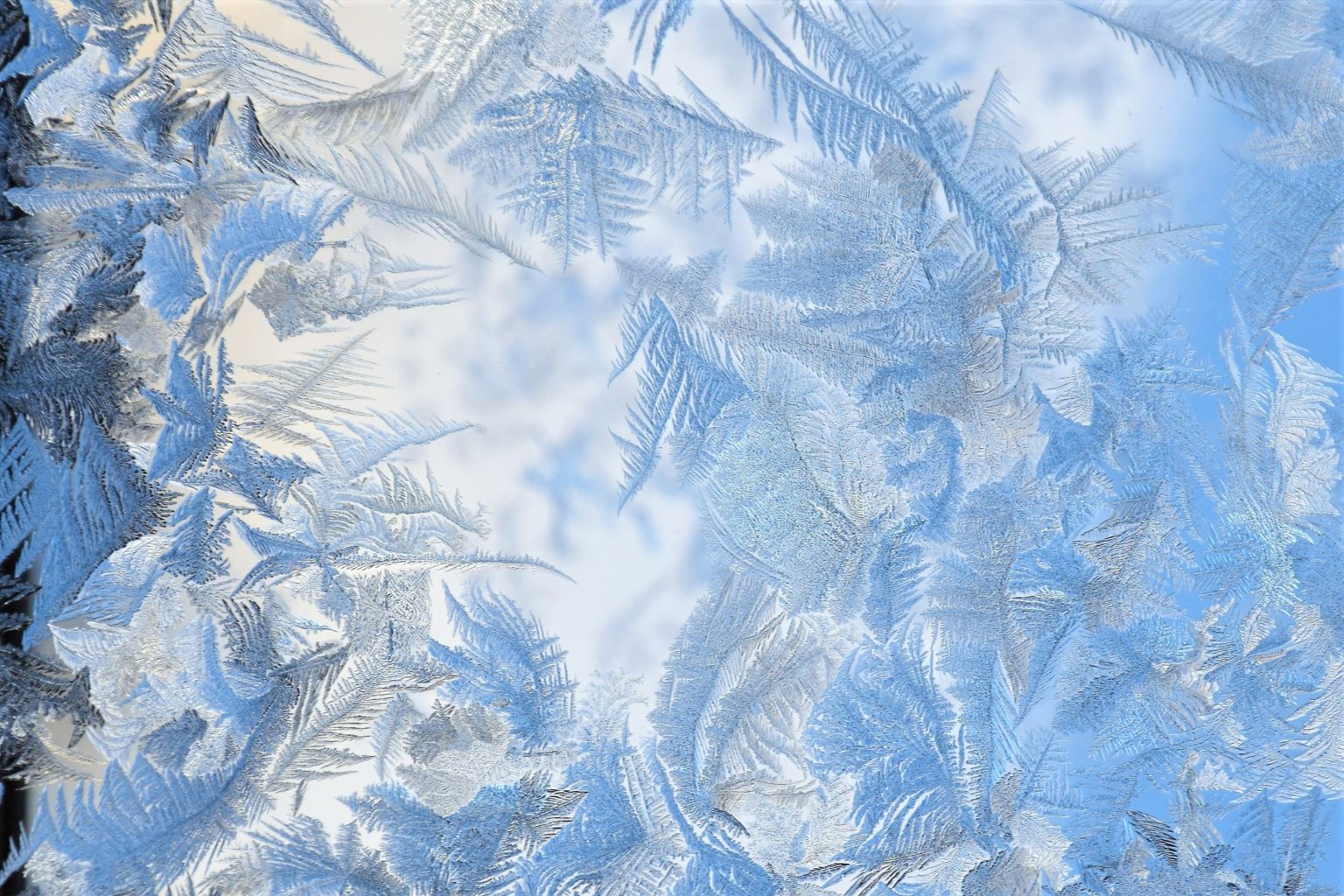 Valokuvaaja: Leena Rissanen