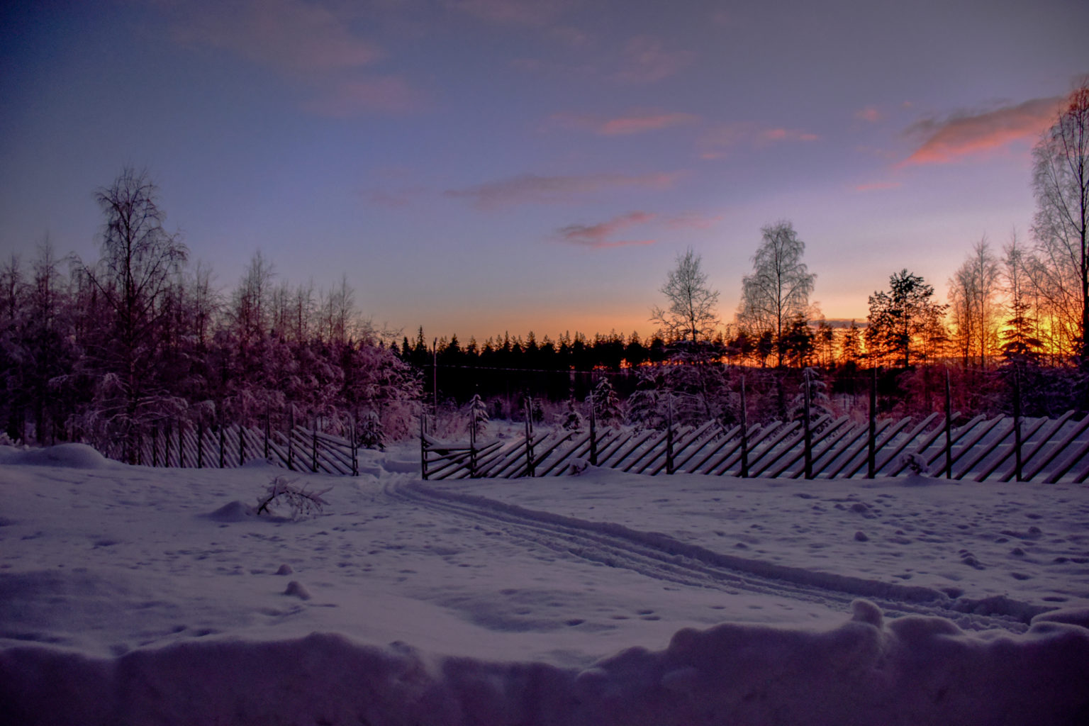 Valokuvaaja: Maija Savolainen