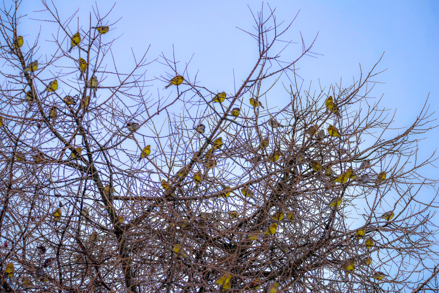 Valokuvaaja: Maija Savolainen