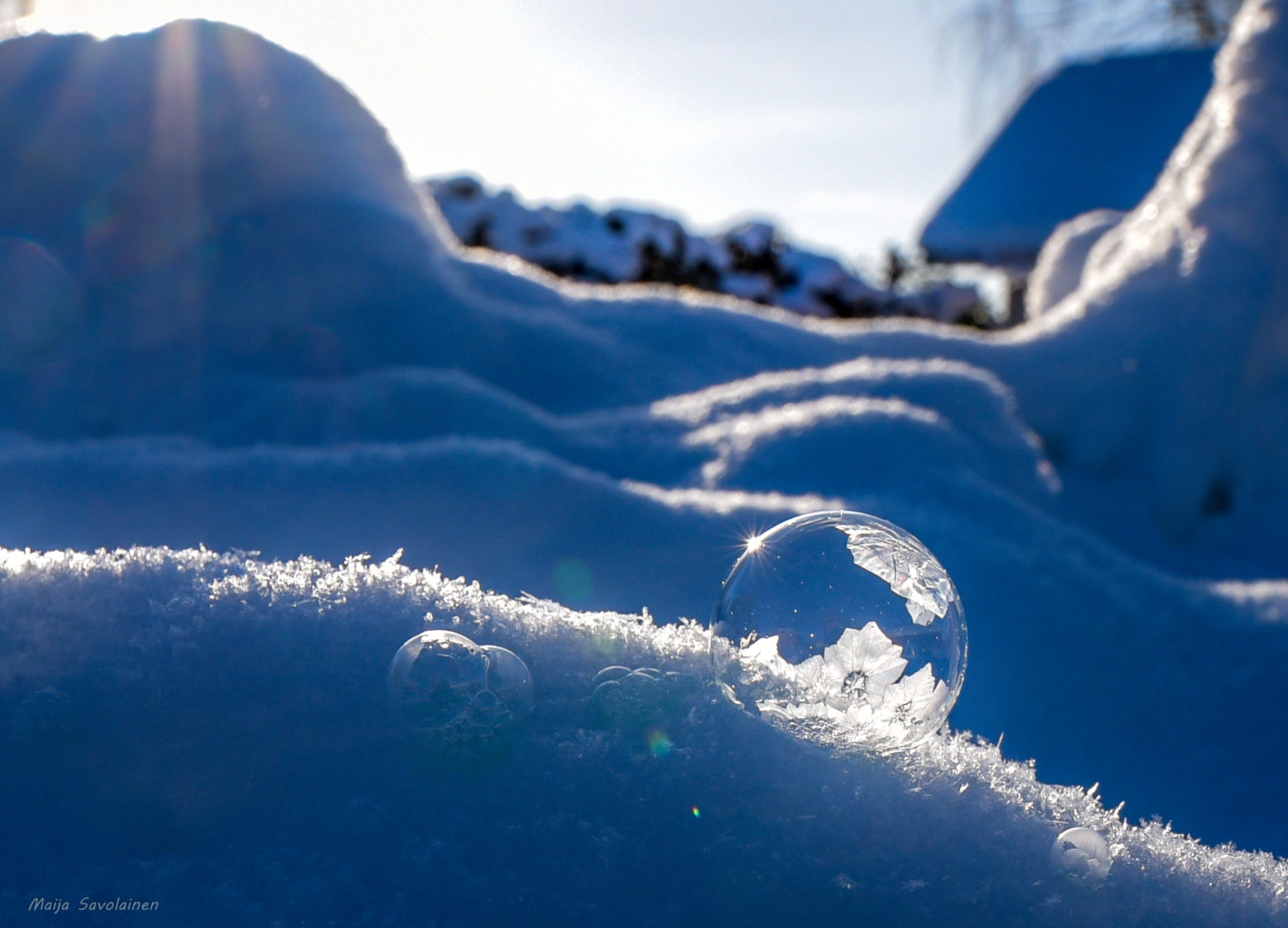 Valokuvaaja: Maija Savolainen