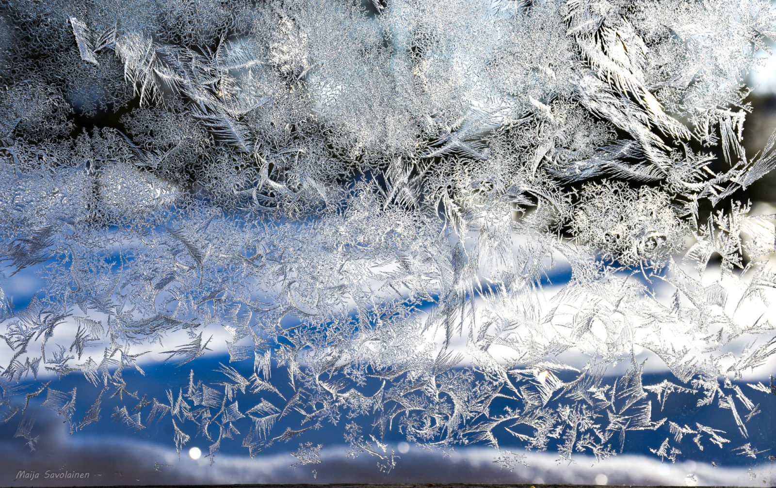 Valokuvaaja: Maija Savolainen